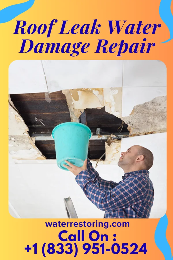 Roof Leak Water Damage Repair in Lakewood Club, MI