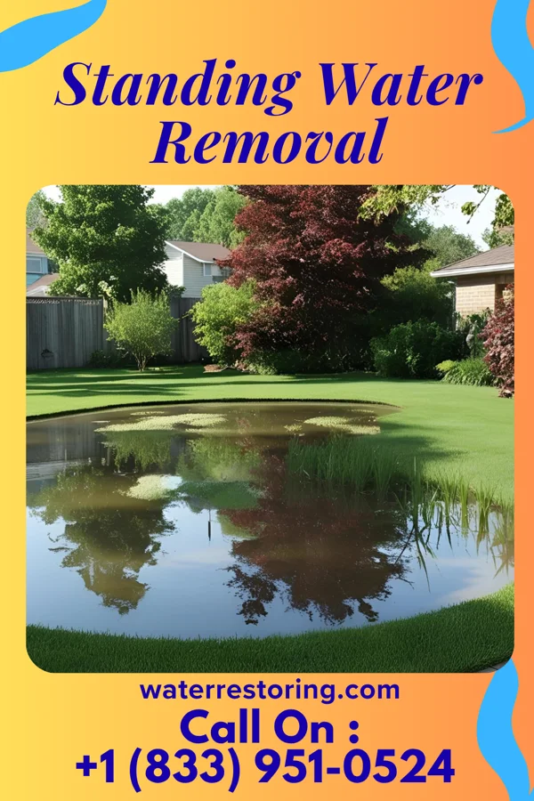 Standing Water Removal in Lakewood Club, MI